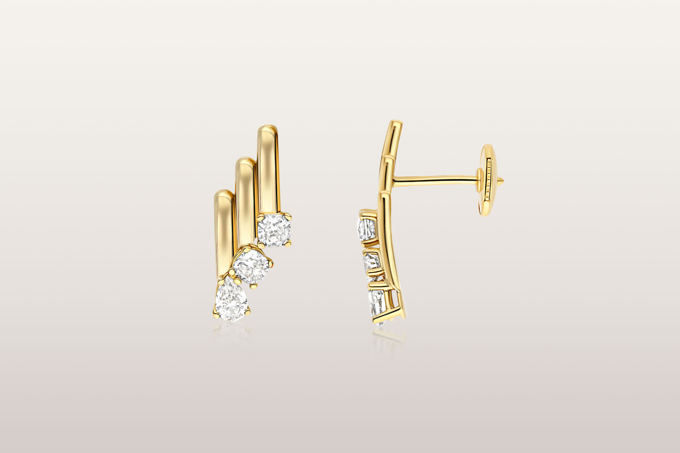 Earrings Rise Earrings Rise