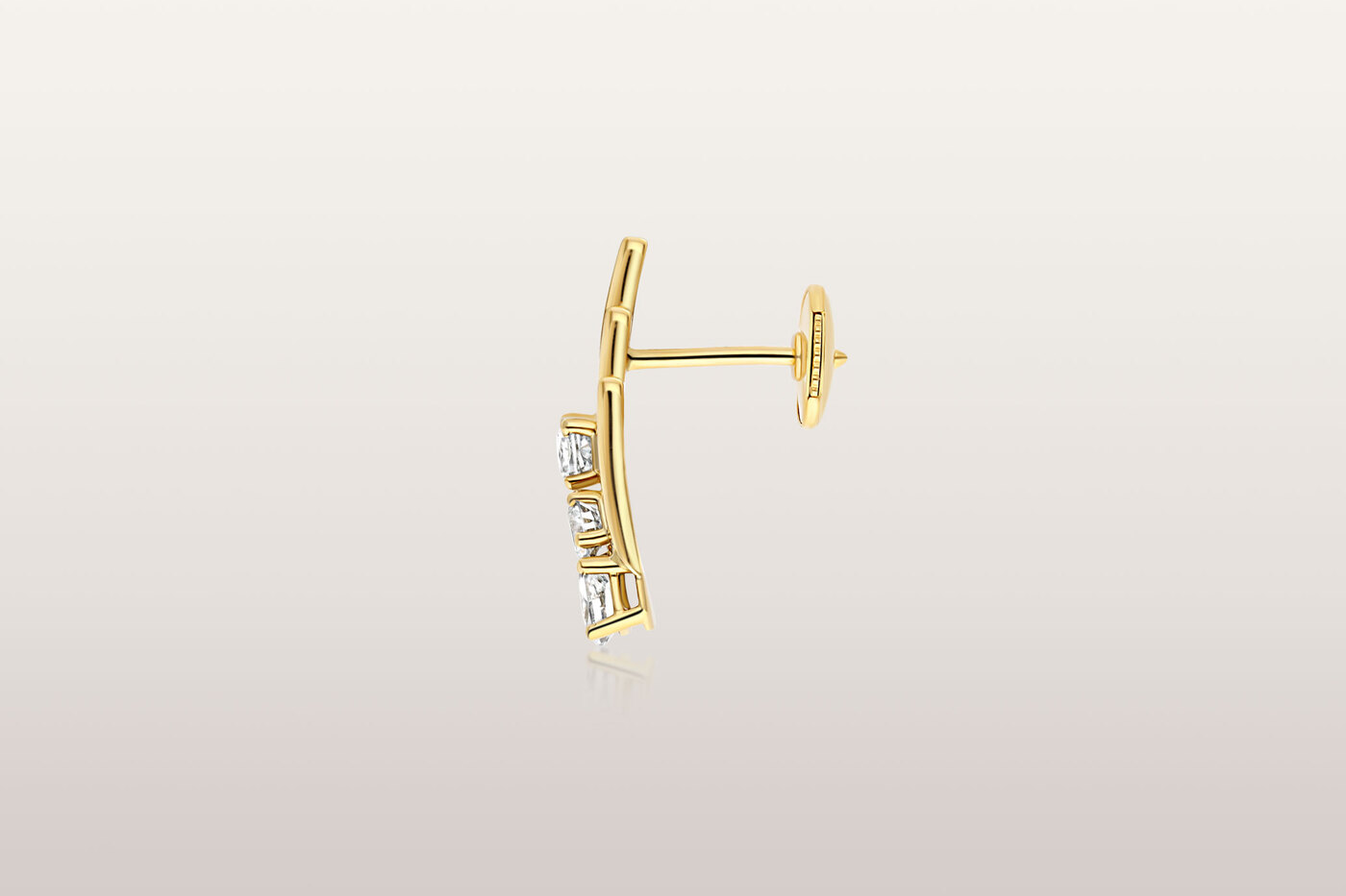 Earrings Rise Earrings Rise
